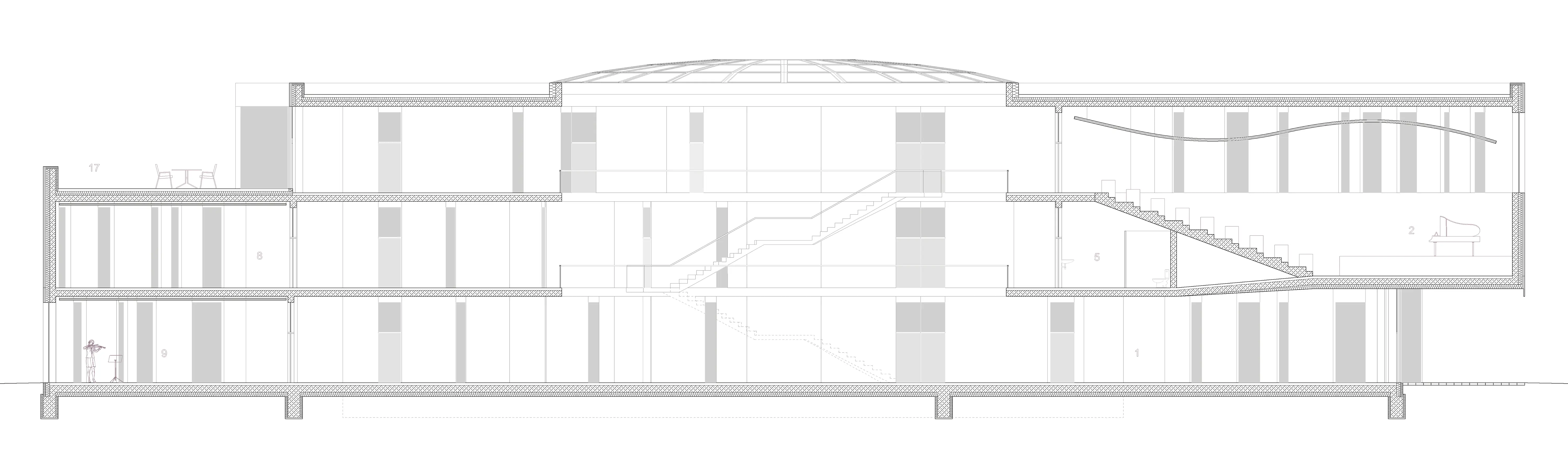 LongitudinalSection